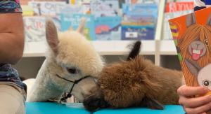 Working with Animals