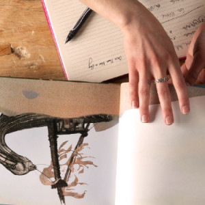 Stories: they help us understand the world