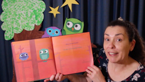 Librarian Storyteller of the Year - Mashup #3