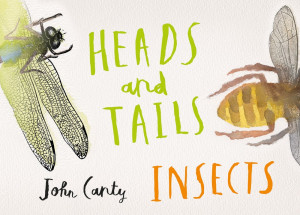 Heads and Tails: Insects