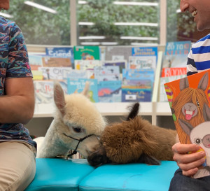 Working with Animals